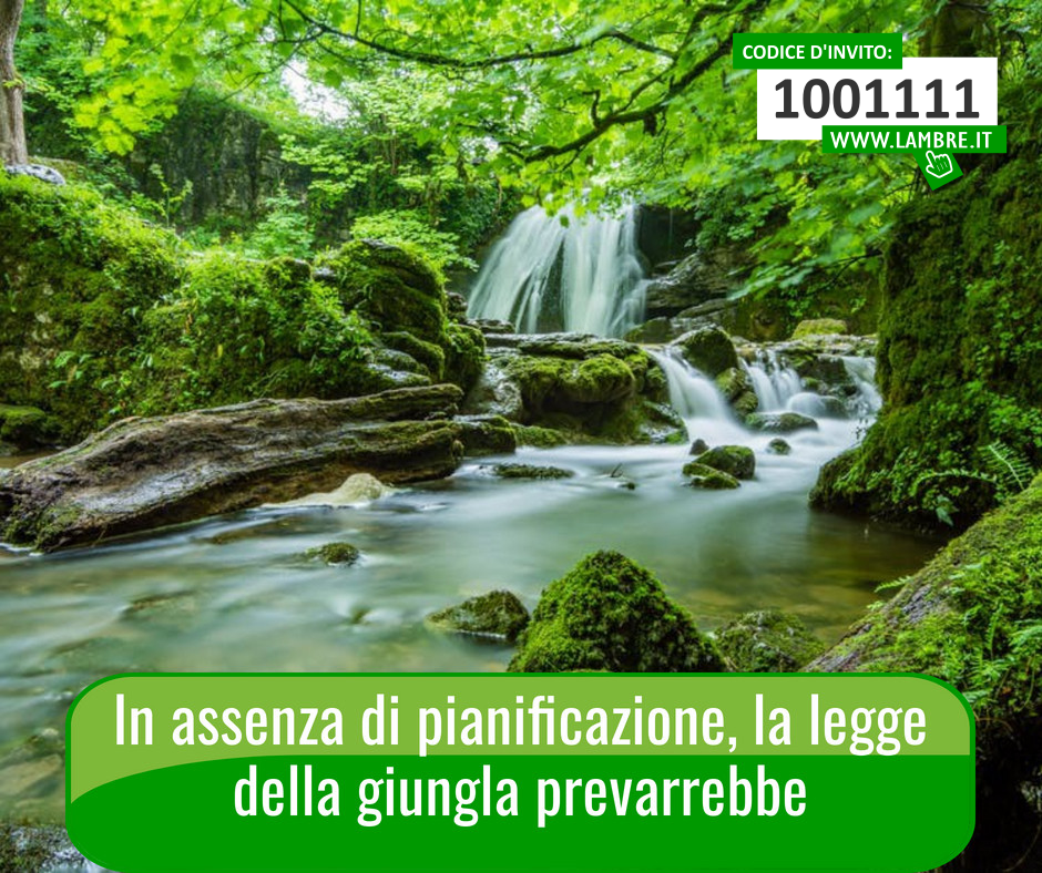 In assenza di pianificazione, la legge della giungla prevarrebbe