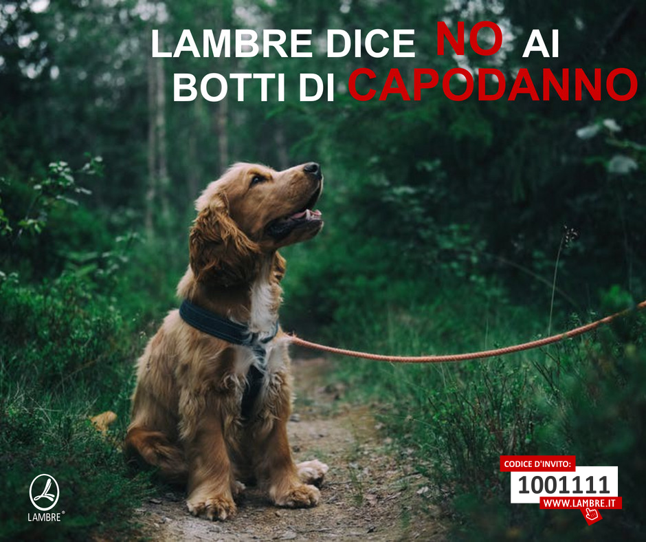 Lambre dice no ai botti di Capodanno