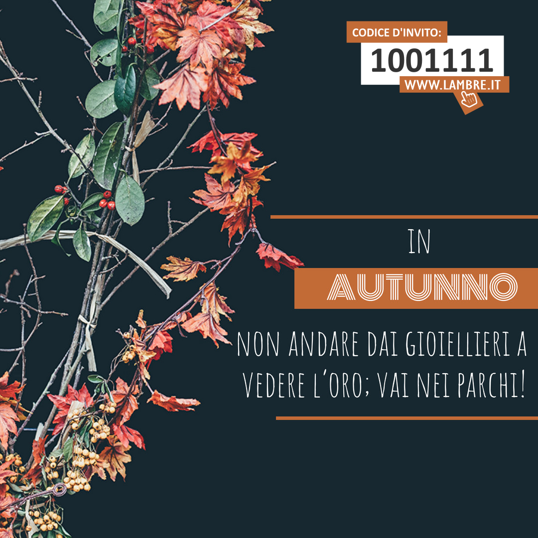 L'oro d'autunno